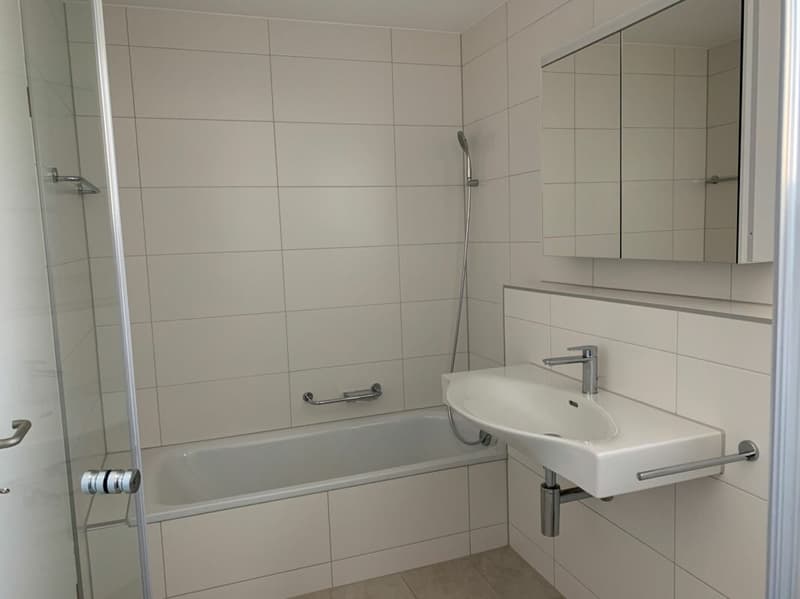 Charmant appartement 3.5 pièces en attique (3)