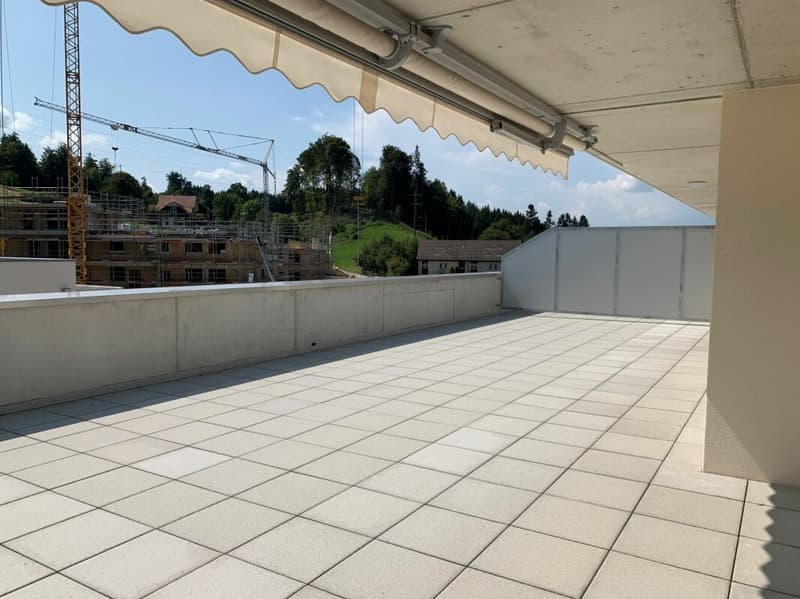 Charmant appartement 3.5 pièces en attique (9)