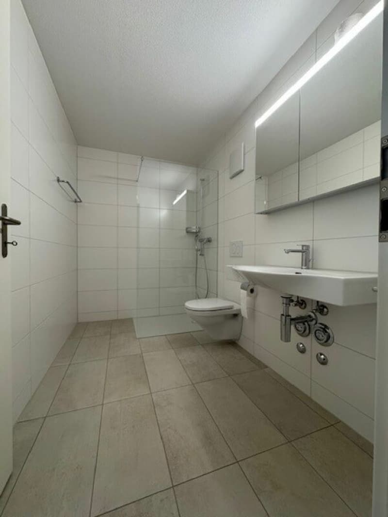 Charmante 2.5-Zimmer-Wohnung (3)