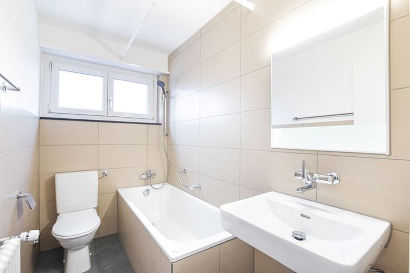 Renovated 4-room apartment - Welcome to your new home! (3)