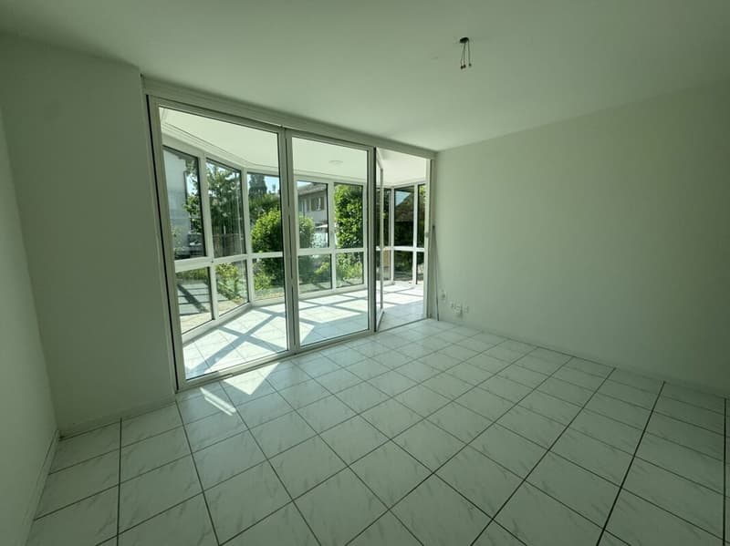 Charming 4-room apartment (3)