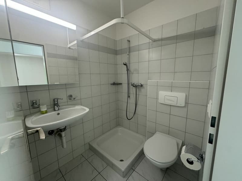 Charming 4-room apartment (6)