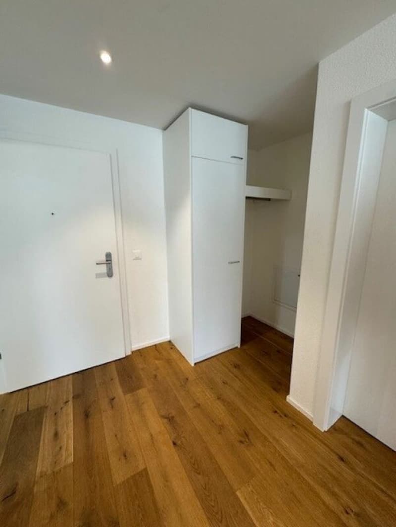 La tua nuova casa - appartamento esclusivo di 2½ locali (7)