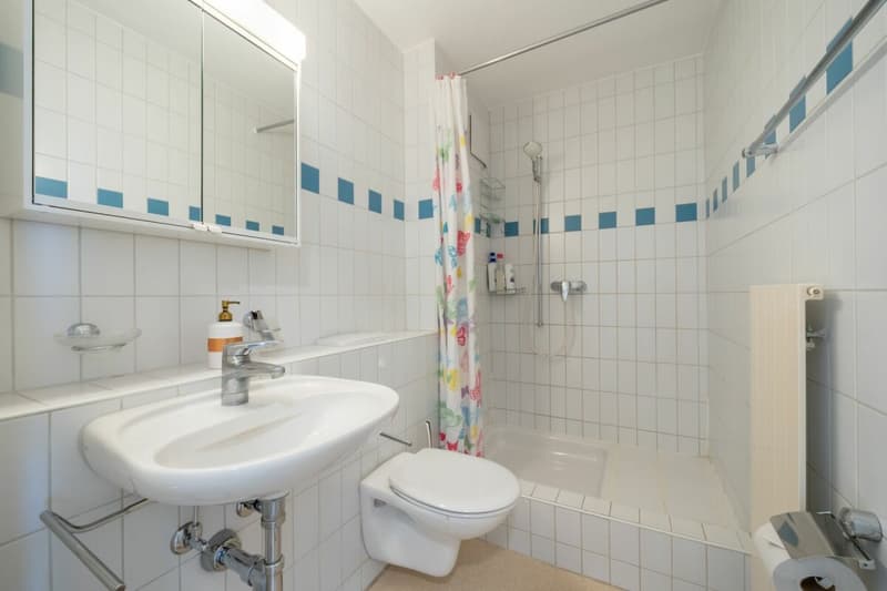 Dream Home - 4.5-room apartment in prime location! (8)