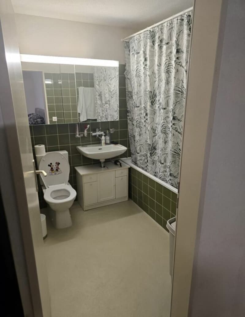 Charming 4½-room apartment (3)