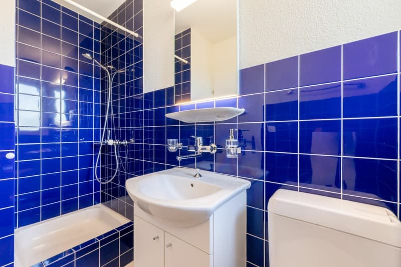 Doppeleinfamilienhaus an bester Lage in Rothrist zu vermieten (8)