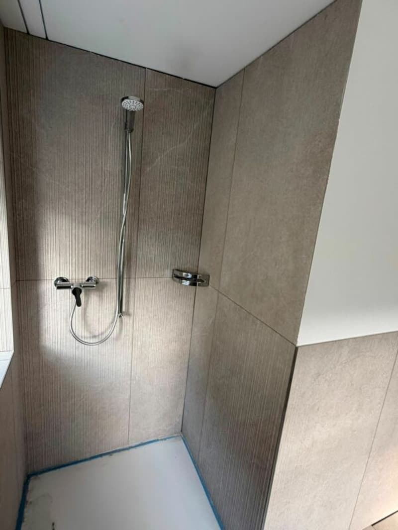 Exklusive 4.5-Zimmer-Neubauwohnung im Zentrum von Triengen (6)