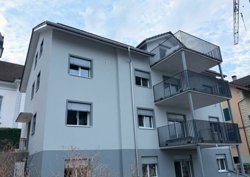 Exklusive 4.5-Zimmer-Neubauwohnung im Zentrum von Triengen (6)