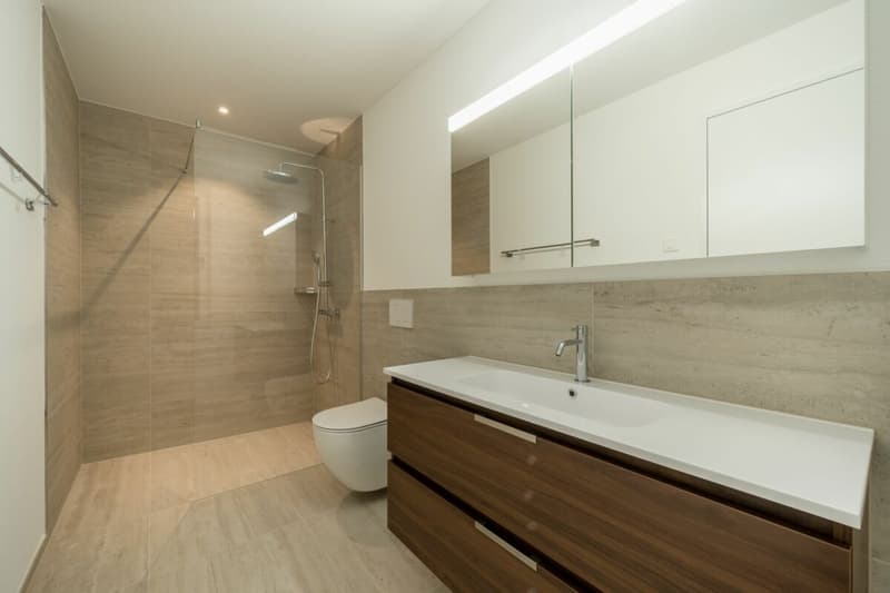 Luxuriöse 4½-Zimmerwohnung an bester Lage in Egerkingen (3)