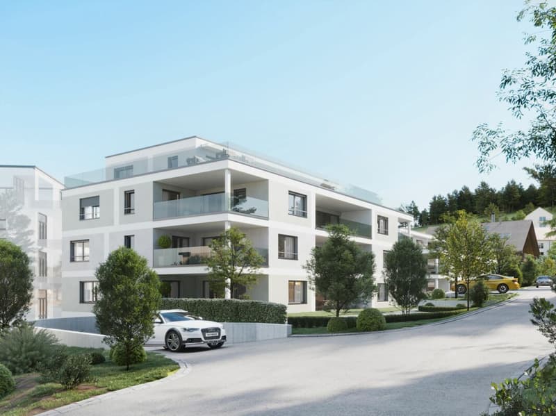 Ihr neues Zuhause - 2½-Zimmer-Attikawohnung! (2)