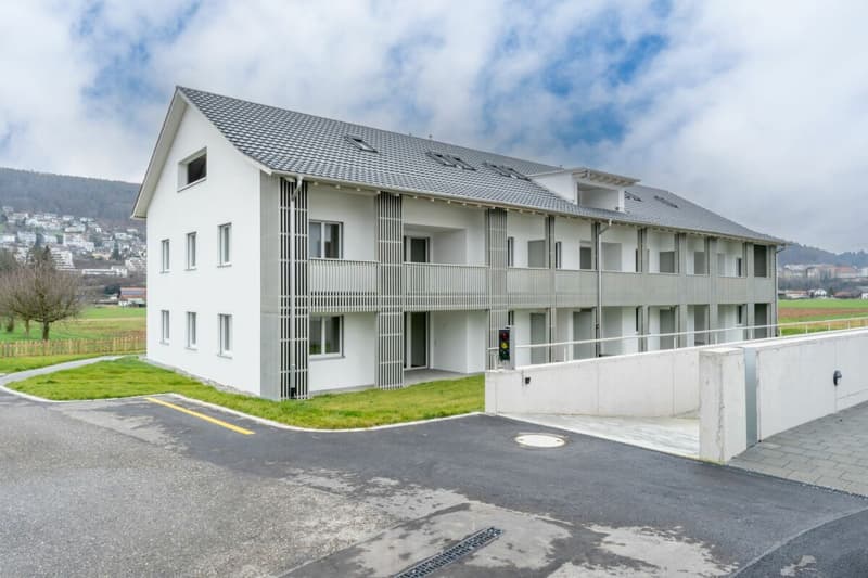 Schöne 4½-Zimmer-Wohnungen zu vermieten (1)