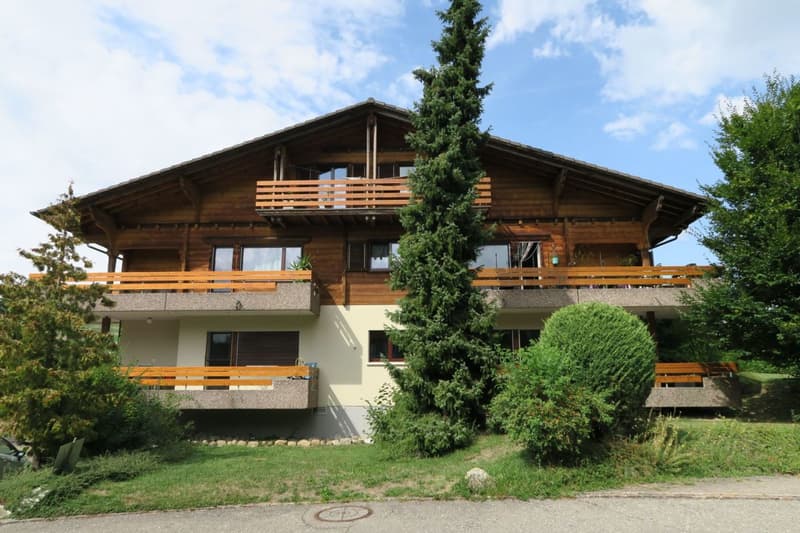 Charmante 3½-Zimmer-Wohnung im Chalet (1)