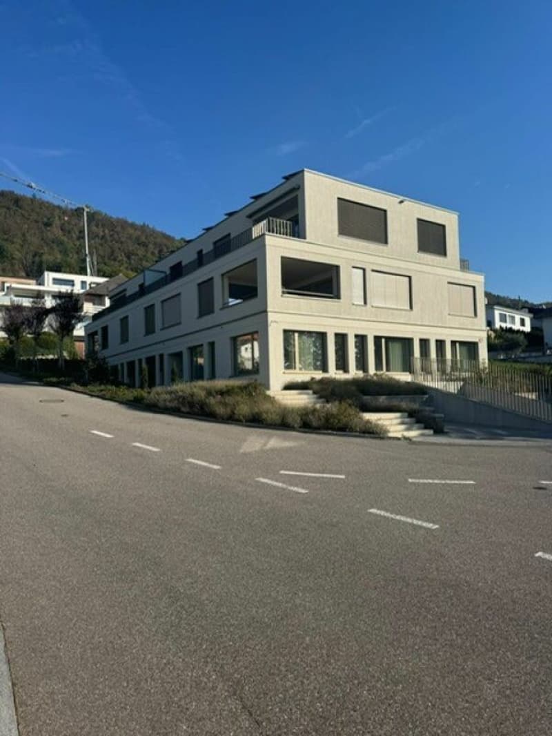 Luxuriöse 4½-Zimmerwohnung an bester Lage in Egerkingen (1)
