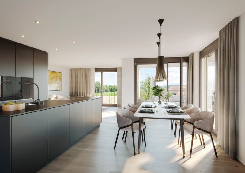 Neubau "SERAEL" - Unverbaubare Sicht auf den Greifensee, ruhig und dorfnah (1)