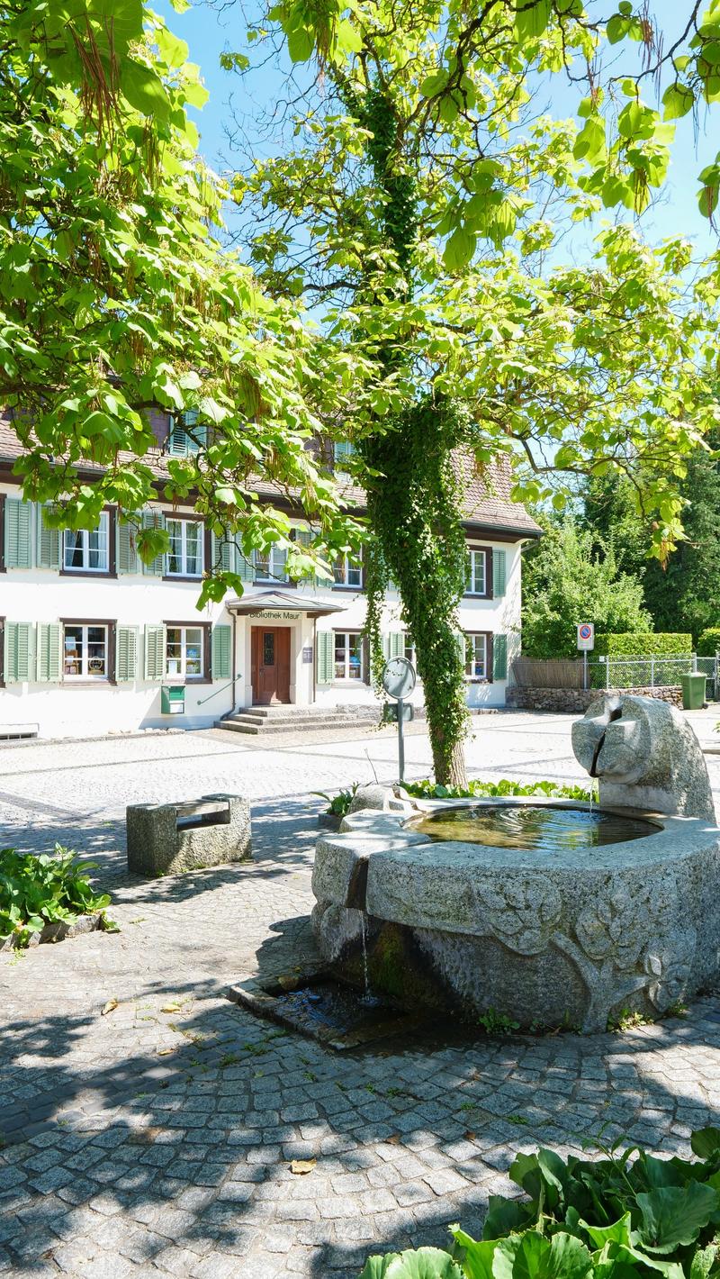 Neubau "SERAEL" - Unverbaubare Sicht auf den Greifensee, ruhig und dorfnah (9)