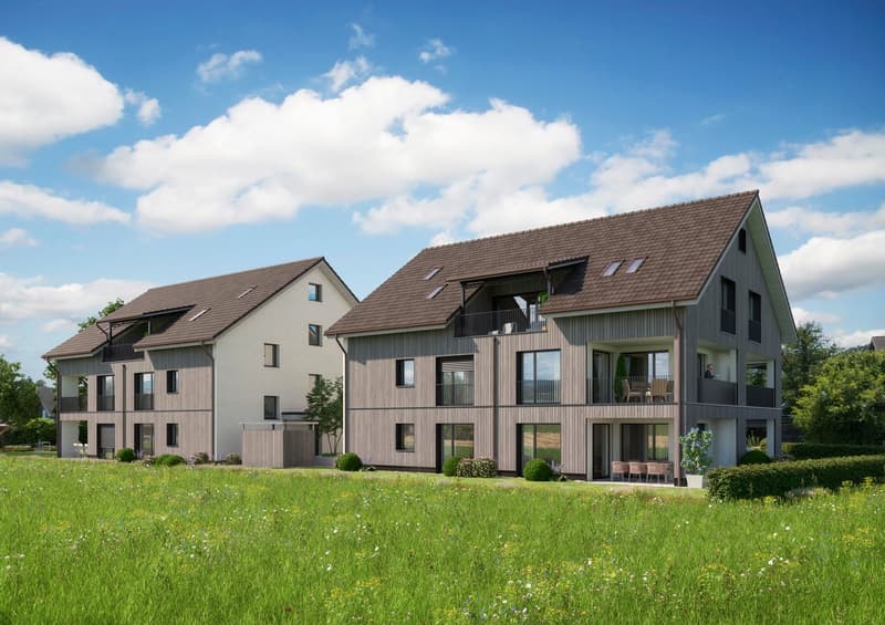 Neubau "SERAEL" - Unverbaubare Sicht auf den Greifensee, ruhig und dorfnah (3)