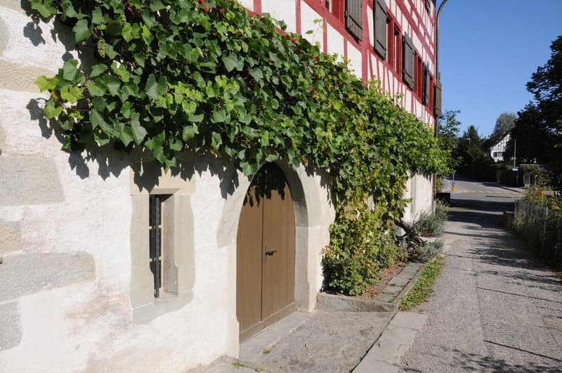 VUE PANORAMIQUE INÉGALÉE – APPARTEMENT 5½ PIÈCES SURPLOMBANT LE LAC DE ZURICH (12)