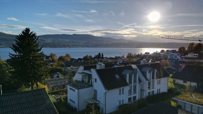 UNVERBAUBARE PANORAMASICHT – 5½-ZIMMER-WOHNUNG ÜBER DEM ZÜRICHSEE (1)