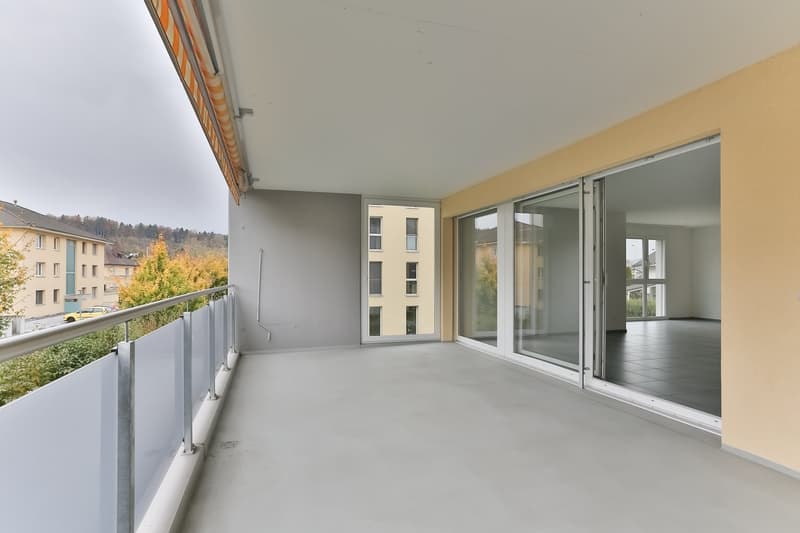 Appartement spacieux 4.5 pièces 124m2 (11)