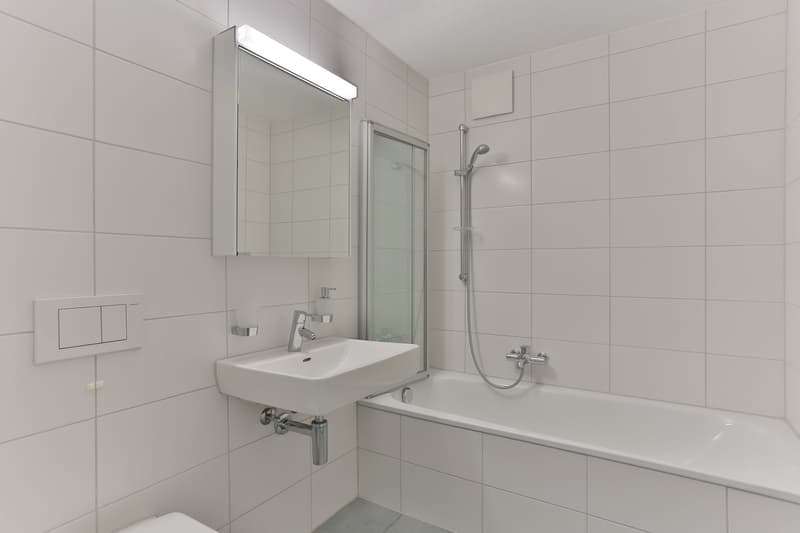 Appartement spacieux 4.5 pièces 124m2 (5)