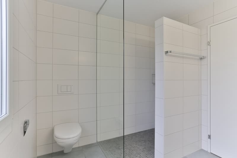 Appartement spacieux 4.5 pièces 124m2 (6)