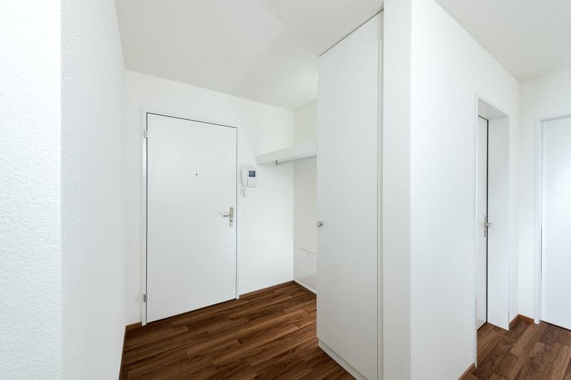 Very spacious 3.5 room apartment 106 m2 in sunny location (5)