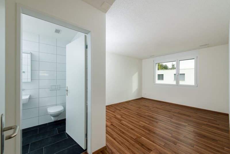 Very spacious 3.5 room apartment 106 m2 in sunny location (11)