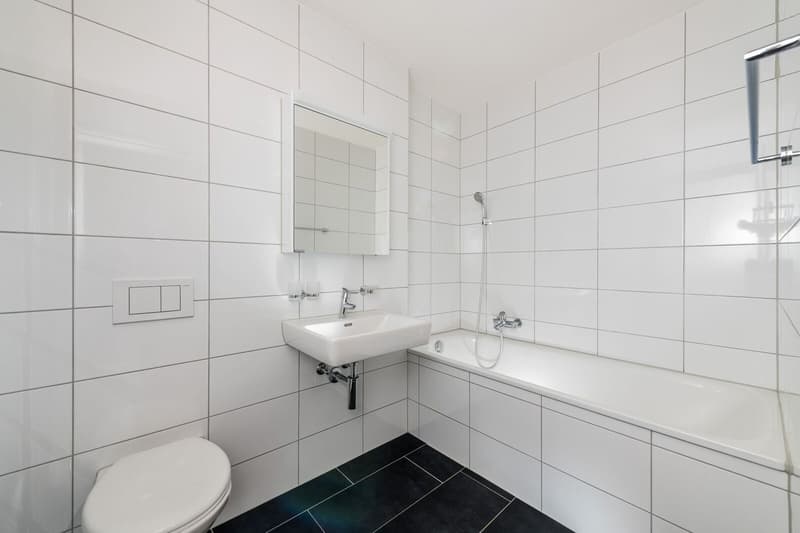 Very spacious 3.5 room apartment 106 m2 in sunny location (9)