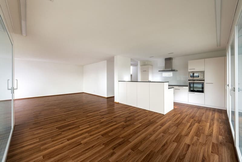 Very spacious 3.5 room apartment 106 m2 in sunny location (6)