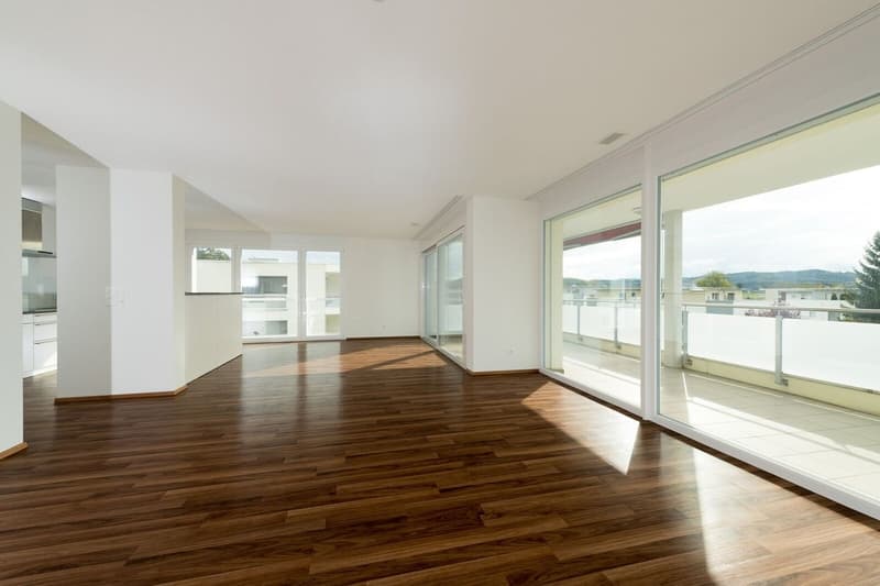 Very spacious 3.5 room apartment 106 m2 in sunny location (7)