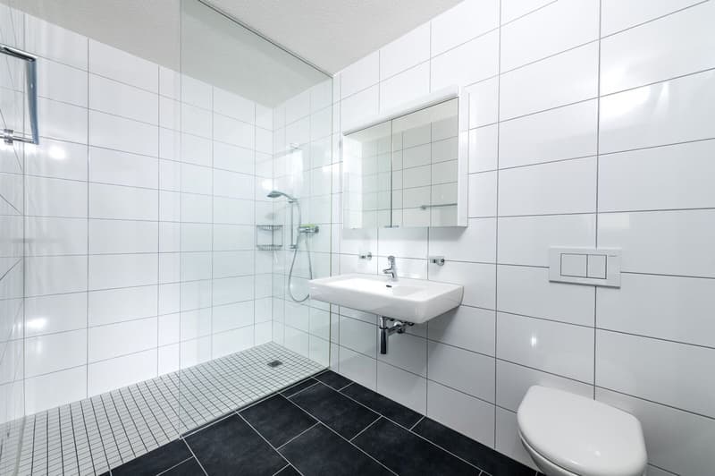 Very spacious 3.5 room apartment 106 m2 in sunny location (8)