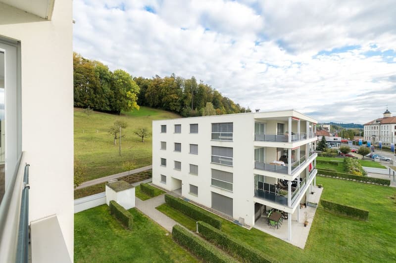 Very spacious 3.5 room apartment 106 m2 in sunny location (15)