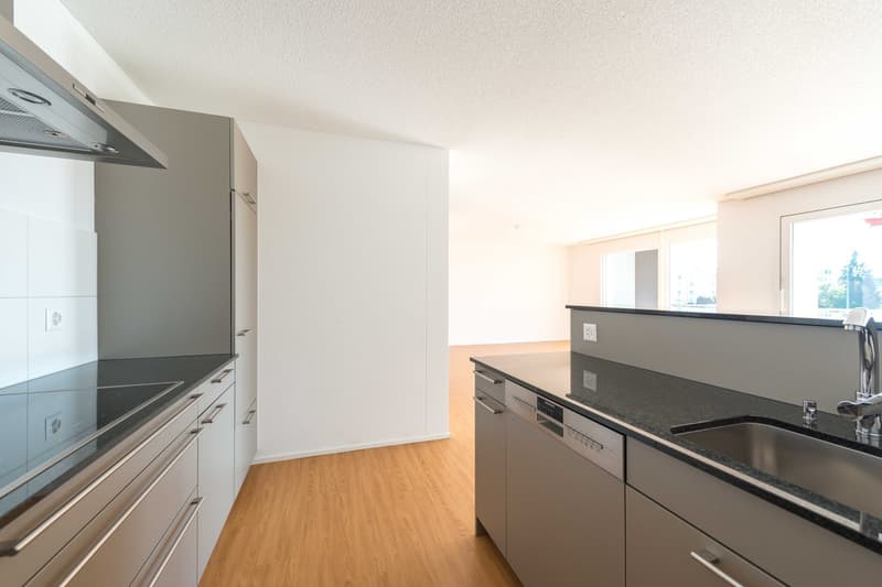 Appartement de jardin très grand de 3,5 pièces d'une valeur neuf de 112 m2 (3)