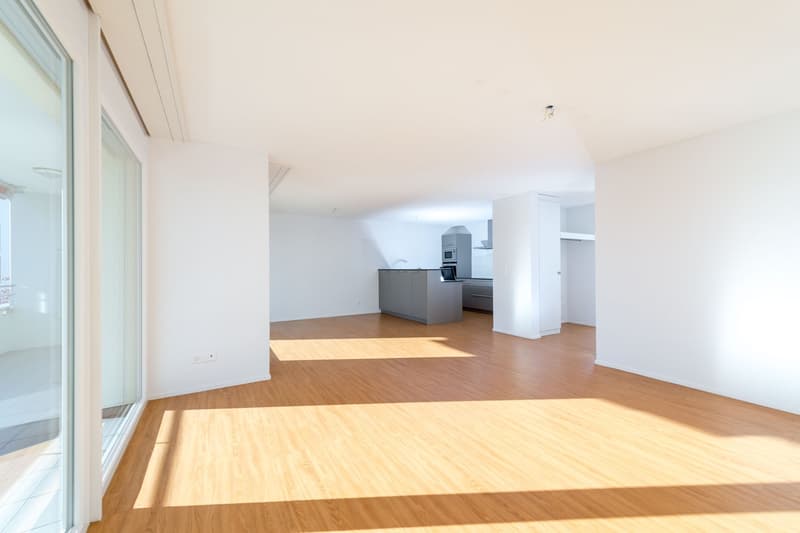 Appartement de jardin très grand de 3,5 pièces d'une valeur neuf de 112 m2 (6)