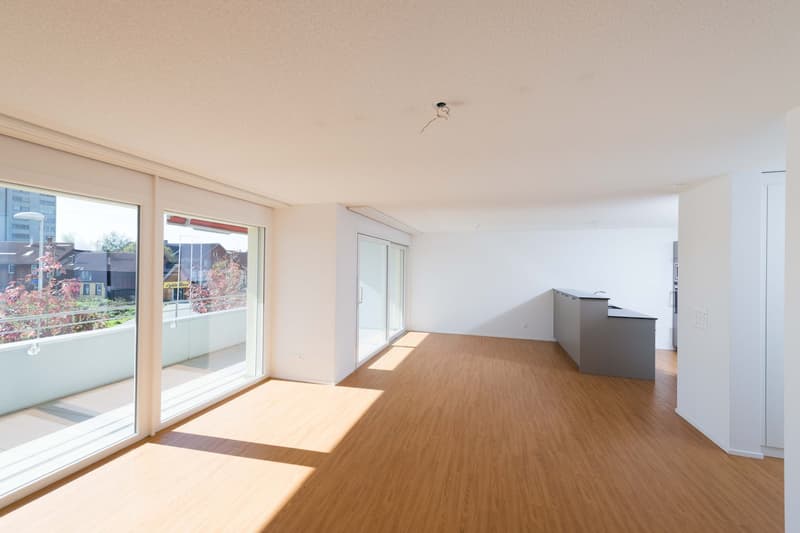 Appartement de jardin très grand de 3,5 pièces d'une valeur neuf de 112 m2 (7)