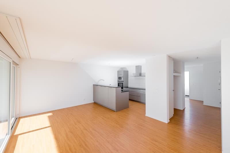 Appartement de jardin très grand de 3,5 pièces d'une valeur neuf de 112 m2 (8)