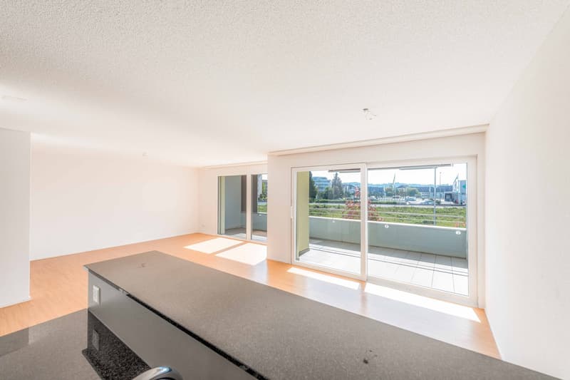 Appartement de jardin très grand de 3,5 pièces d'une valeur neuf de 112 m2 (5)