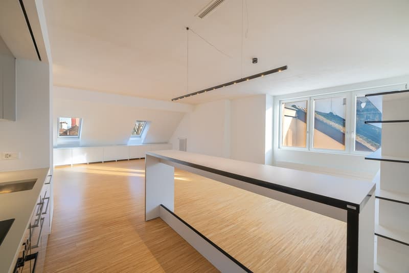 Modern and high-quality 3.5 room old town apartment (8)