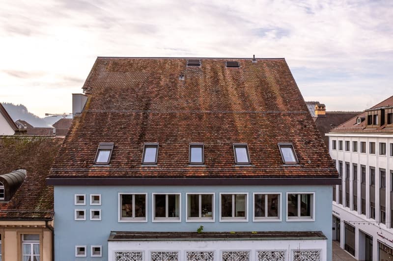 Modern and high-quality 3.5 room old town apartment (15)