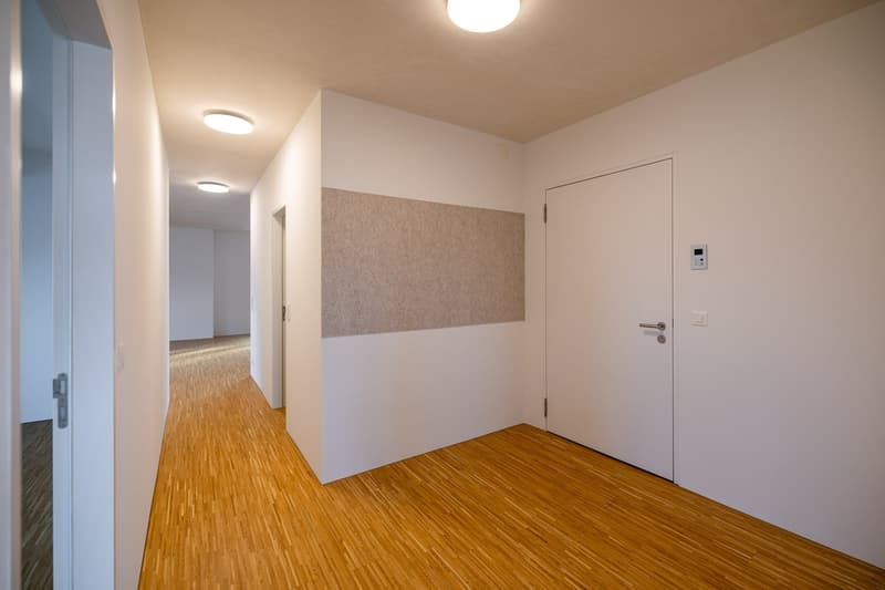 Modern and high-quality 3.5 room old town apartment (3)