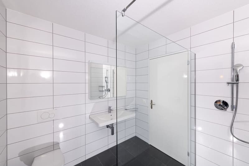 Grande appartamento mansardato quasi nuovo di 4,5 locali 131 m2 (9)