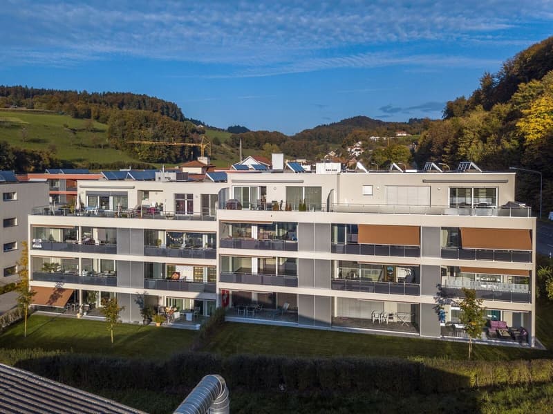 Grande appartamento mansardato quasi nuovo di 4,5 locali 131 m2 (2)