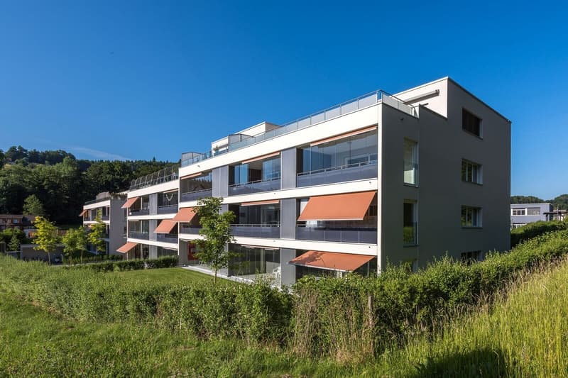 Grande appartamento mansardato quasi nuovo di 4,5 locali 131 m2 (1)