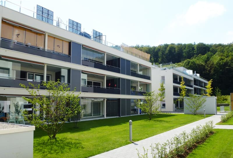 Hochwertige 2.5 Zi-Wohnung 59m2 (1)