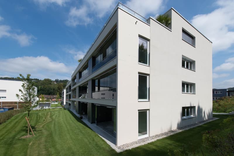 Neuwertige 4.5 Zi-Wohnung nähe Wald und Spital (15)
