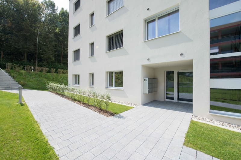 Neuwertige 4.5 Zi-Wohnung nähe Wald und Spital (14)