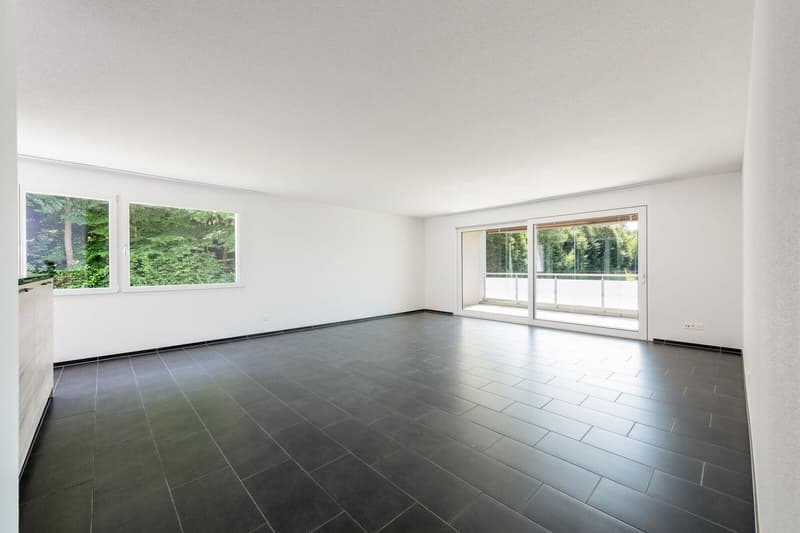 Neuwertige 4.5 Zi-Wohnung nähe Wald und Spital (5)