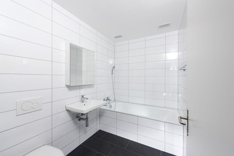 Neuwertige 4.5 Zi-Wohnung nähe Wald und Spital (7)