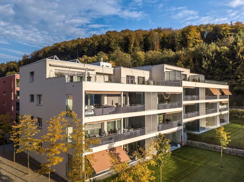 Neuwertige 3.5 Zi-Wohnung 93 m2 nähe Wald und Spital (1)