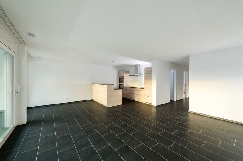 Neuwertige 3.5 Zi-Wohnung 93 m2 nähe Wald und Spital (6)